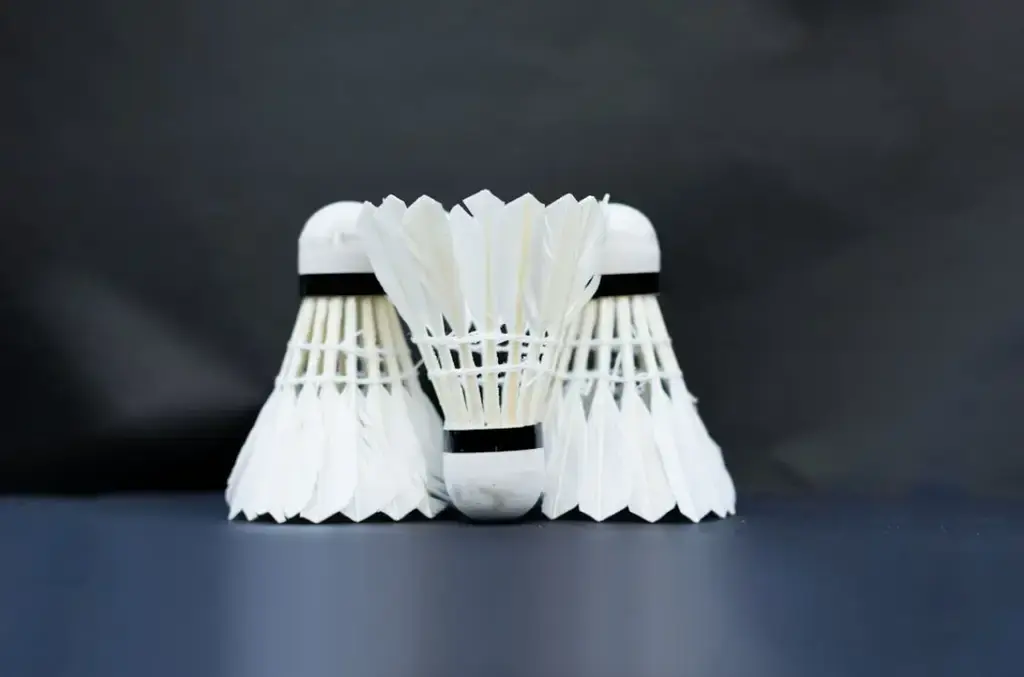 BG85超級橫線:台灣羽球員不可或缺的利器